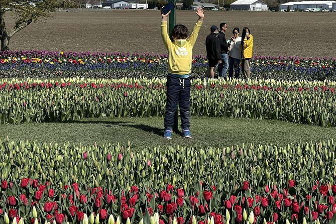 Tulip Festival in Skagit Valley Tour from Seattle - Tulip Town costs extra, but adds variety