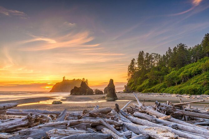 Twilight Forks Washington Tour - Key points to know before booking