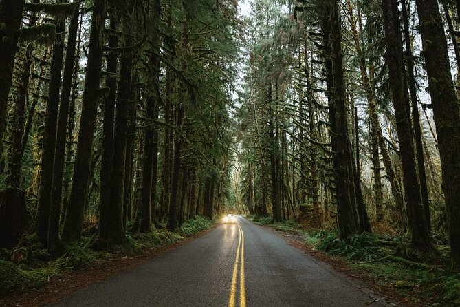Twilight Forks Washington Tour - Is $485 a fair price?