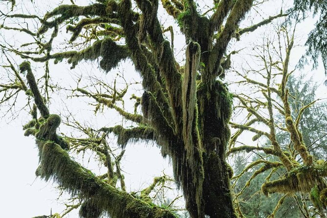 Twilight Forks Washington Tour - The ferry from Seattle to Bainbridge Island