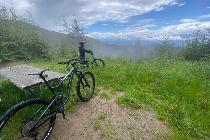 Viator Exclusive - Half Day Mountain Bike Tour from Seattle - What the forest ride feels like