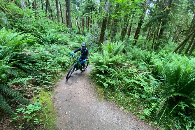 Viator Exclusive - Half Day Mountain Bike Tour from Seattle - Is $261.79 a fair price?