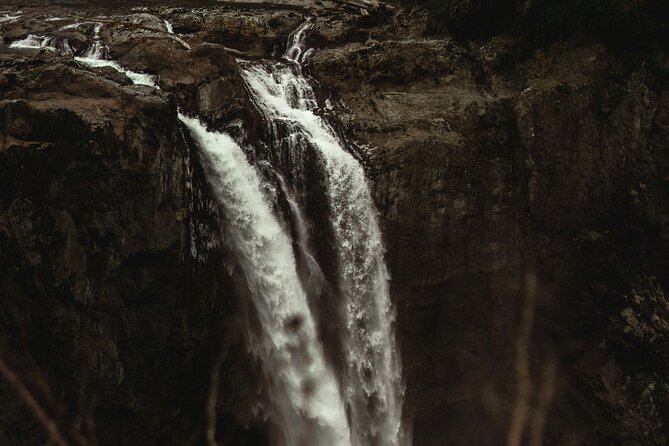 Visit Snoqualmie waterfall and an old forest (Transport Included) - What the four-hour schedule really means