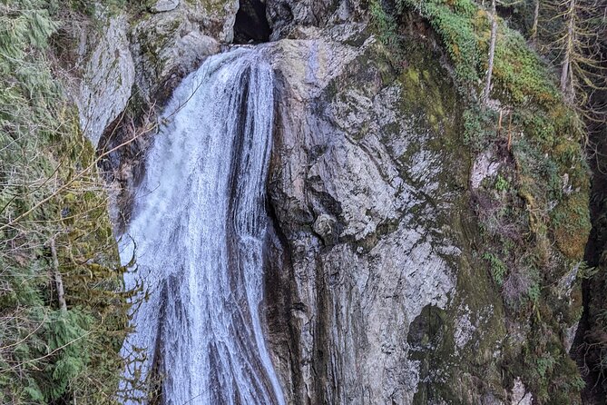 Visit Snoqualmie waterfall and an old forest (Transport Included) - Weather and trail changes are part of the deal