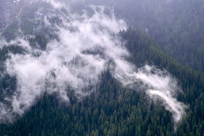 Winter Day Tour to Longmire on Mount Rainier from Seattle - Trail of the Shadows and Twin Firs Loop