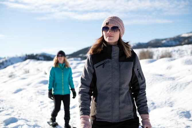 Winter Day Tour to Longmire on Mount Rainier from Seattle - The guide and the small-group feel